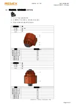 Предварительный просмотр 131 страницы REDEX KRPX+ Setup And Maintenance Instructions