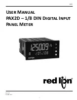 Redlion PAX2D User Manual предпросмотр