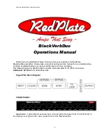 RedPlate BlackVerbDue Operation Manual preview