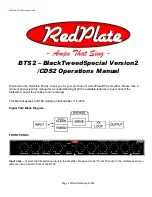 RedPlate BTS2 Operation Manual preview