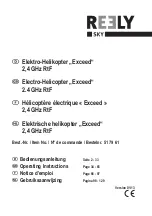 Reely Sky Exceed Operating Instructions Manual предпросмотр