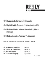 Reely Sky Formula 1 Operating Instructions Manual preview