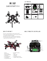 Reely X-220 Quick Start Quide preview