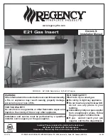 Regency Fireplace Products E21 Gas Insert Owners & Installation Manual предпросмотр