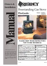 Regency Fireplace Products FireGenie FG39-LPG Owners & Installation preview