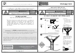 Preview for 1 page of Regent Lighting Solutions Challenger Mini Installation Instructions