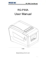 Rego RG-P80A User Manual preview