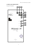 Preview for 9 page of REL Acoustics Britannia B1 User Manual