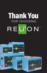 Preview for 2 page of ReliOn LiFePO4 Series User Manual