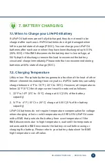 Preview for 11 page of ReliOn LiFePO4 Series User Manual