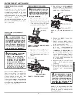 Предварительный просмотр 37 страницы Remington Axcess trimmer RM3017HP Owner'S Manual