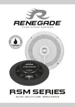 Renegade RSM Series Quick Start Manual предпросмотр