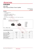 Renesas HSG2004 Specifications предпросмотр