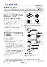 Renesas R0E53034ECFK60 User Manual предпросмотр