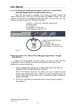 Предварительный просмотр 28 страницы Repotec 16-P SFP User Manual