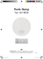 REV Ritter Funk-Gong QH-863A Manual предпросмотр