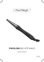 Revamp PROGLOSS BIG HOT WAND User Manual preview