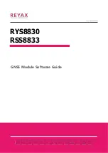 Reyax RSS8833 Software Manual preview