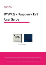 Preview for 1 page of Reyax RYW729x Raspberry EVB User Manual