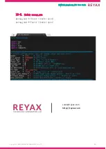 Preview for 13 page of Reyax RYW729x Raspberry EVB User Manual