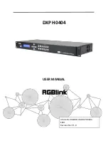 RGBlink DXP H040 User Manual preview