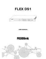 RGBlink FLEX DS1 User Manual preview