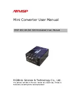 RGBlink MSP 202 User Manual preview