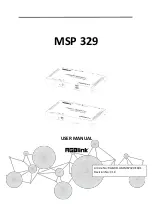 RGBlink MSP 329 User Manual preview