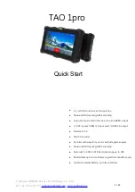 RGBlink TAO 1pro Quick Start Manual preview