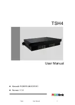 RGBlink TSH4 User Manual preview