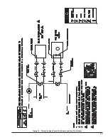 Preview for 43 page of Rheem Raypak 2450 Installation And Operation Manual