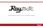 Rheem Raypak MVB Firmware Update preview