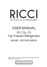 Ricci RRTM101MWW User Manual preview