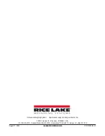 Предварительный просмотр 28 страницы Rice Lake 250-10-2 Technical Manual