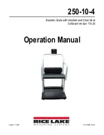 Rice Lake 250-10-4 Series Operation Manual предпросмотр