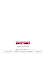 Предварительный просмотр 22 страницы Rice Lake 250-10 Series Operation Manual