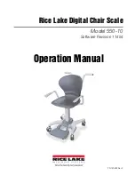 Предварительный просмотр 1 страницы Rice Lake 550-10 Operation Manual