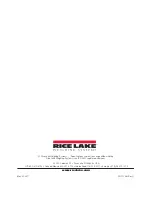 Preview for 24 page of Rice Lake 650-10-1 Technical Manual