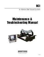 Rice Lake BCi Maintenance & Troubleshooting Manual предпросмотр