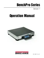 Rice Lake BenchPro Series Operation Manual preview