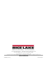 Предварительный просмотр 18 страницы Rice Lake CellScale MSI-9850 Operator'S Manual