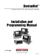 Предварительный просмотр 1 страницы Rice Lake DeviceNet Series Installation And Programming Manual