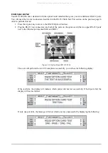 Предварительный просмотр 43 страницы Rice Lake DIGI DC-200 Service Manual