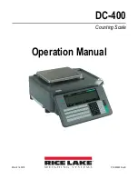 Rice Lake Digi DC-400 Operation Manual предпросмотр