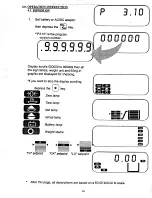 Предварительный просмотр 17 страницы Rice Lake Digi DI-10 Operation Manual