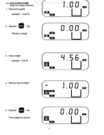 Предварительный просмотр 18 страницы Rice Lake Digi DI-10 Operation Manual