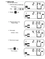 Предварительный просмотр 19 страницы Rice Lake Digi DI-10 Operation Manual