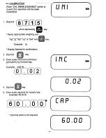 Предварительный просмотр 38 страницы Rice Lake Digi DI-10 Operation Manual