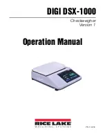 Rice Lake DIGI DSX-1000 Operation Manual предпросмотр