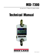 Rice Lake Dyna-Link 2 MSI-7300 Technical Manual предпросмотр